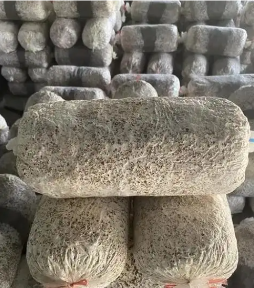 1766113340436777.png 微信图片_2025-12-19_105141_950.png