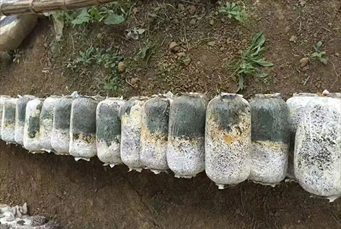 1766113391961436.jpg 微信图片_2025-12-19_105228_847.jpg